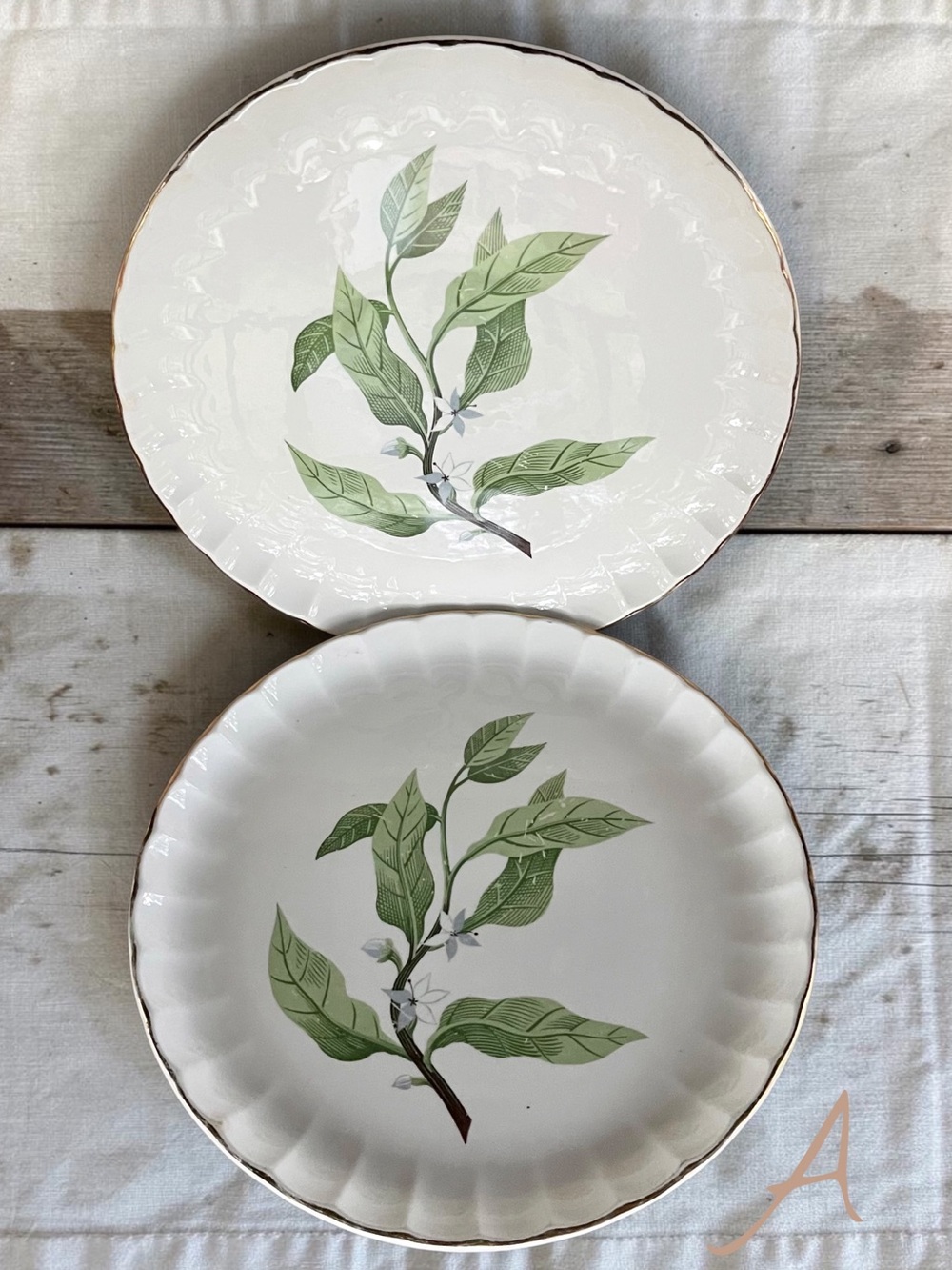 MidCentury W.S. George Bolero Green Valley Gray Flowers 10” Dinner Plates Set